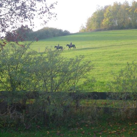 Natur Pur Mit Fernblick Fuer Wanderfreunde 巴特萨克萨 外观 照片