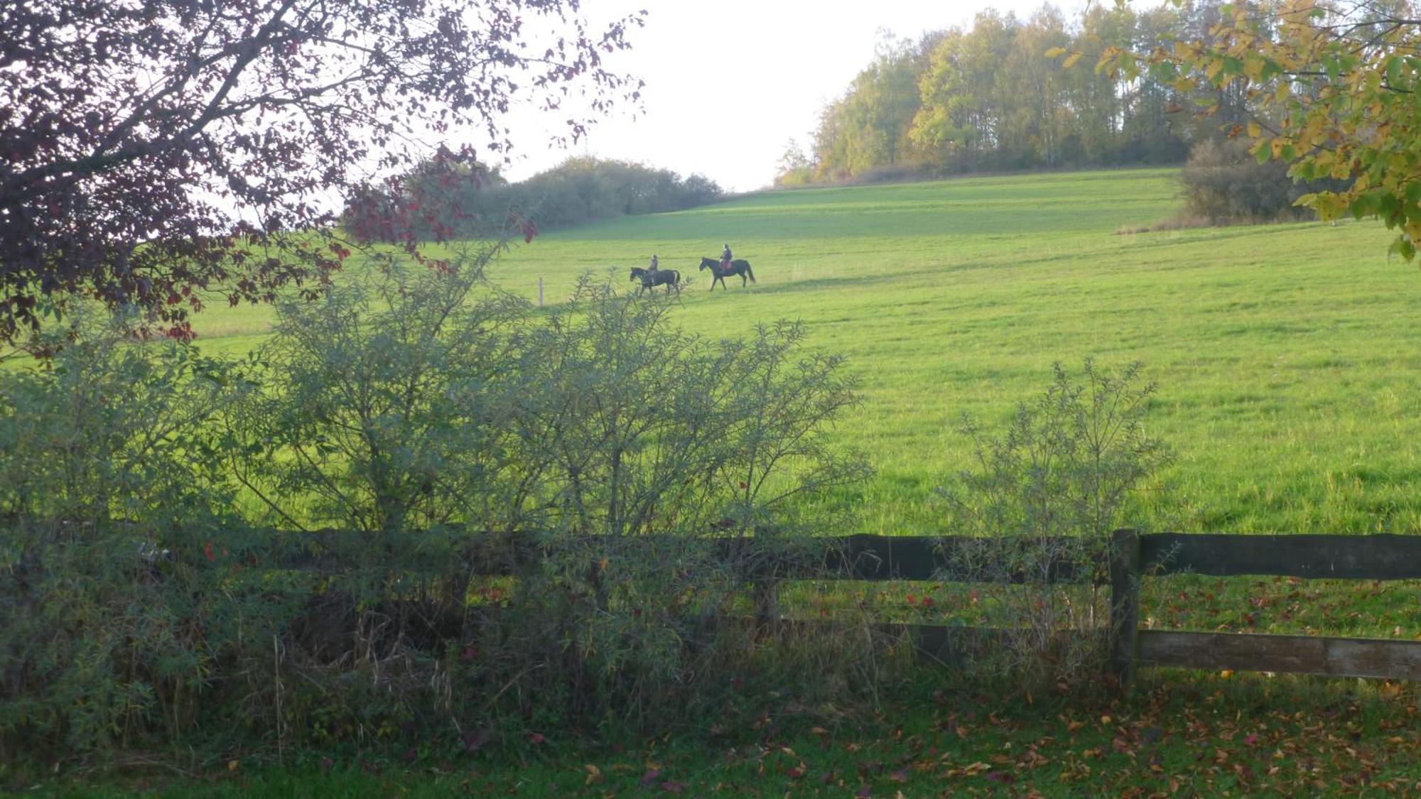 Natur Pur Mit Fernblick Fuer Wanderfreunde 巴特萨克萨 外观 照片