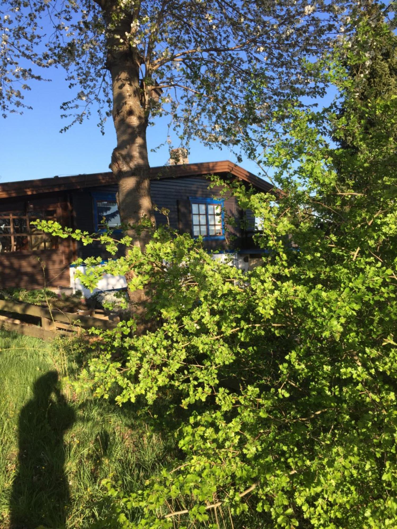 Natur Pur Mit Fernblick Fuer Wanderfreunde 巴特萨克萨 外观 照片